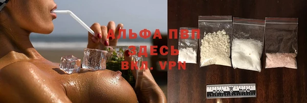 гашик Богородицк