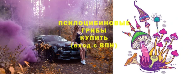 сатива Белокуриха