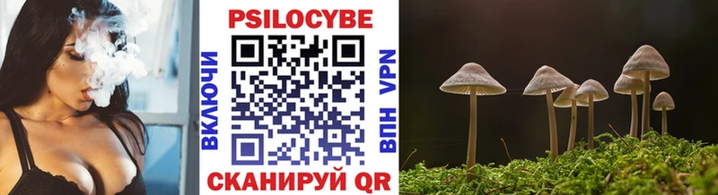 Псилоцибиновые грибы мицелий  Купить где  Волгореченск 